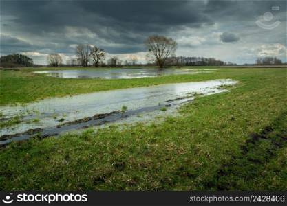 Water on the meadow and the cloudy sky, spring day