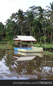 Water on the rice field and hut in Bali