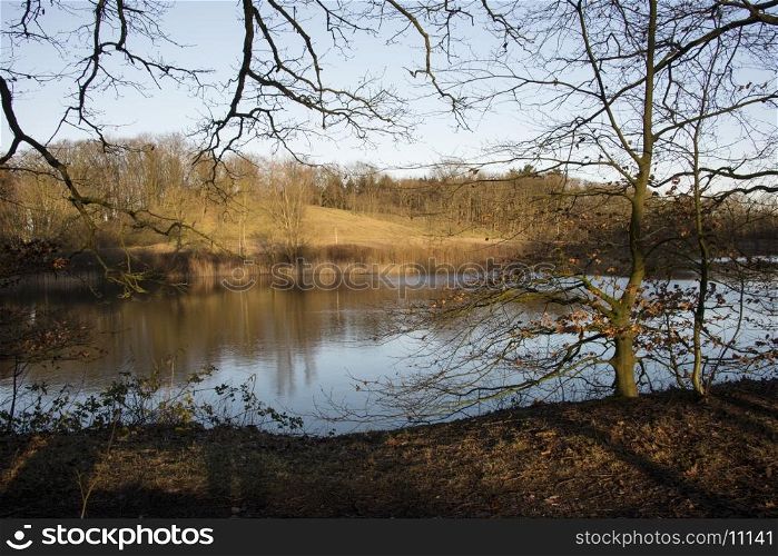 water pond in dutch nature