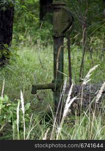 Water pump in forest. Water pump between green grass in the forest