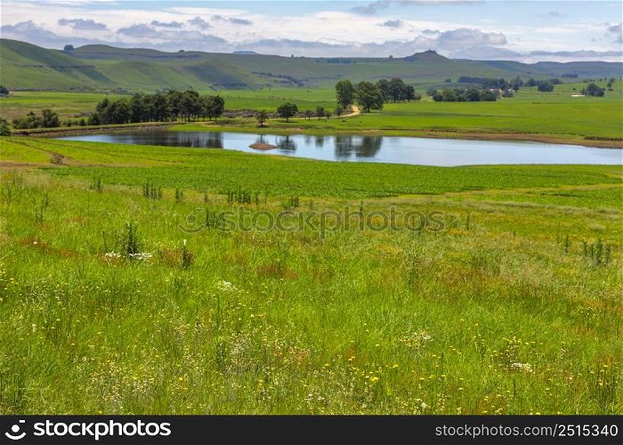 Water reflecting trees next to gravel road in green landscape Drakensberg South Africa