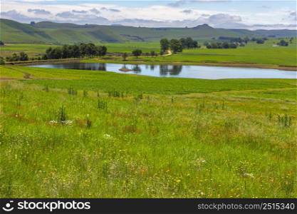 Water reflecting trees next to gravel road in green landscape Drakensberg South Africa