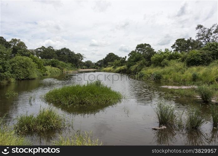 water river in kruger national park south africa