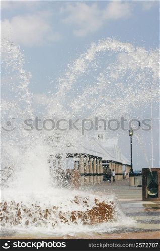 Water spraying from a fountain in a park, Waterfront Park, Charleston, South Carolina, USA