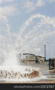 Water spraying from a fountain in a park, Waterfront Park, Charleston, South Carolina, USA