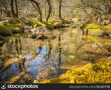 Water stream near Fecha de Barjas waterfall (also known as Tahiti waterfall) in the mountains of Peneda-Geres National Park, Portugal