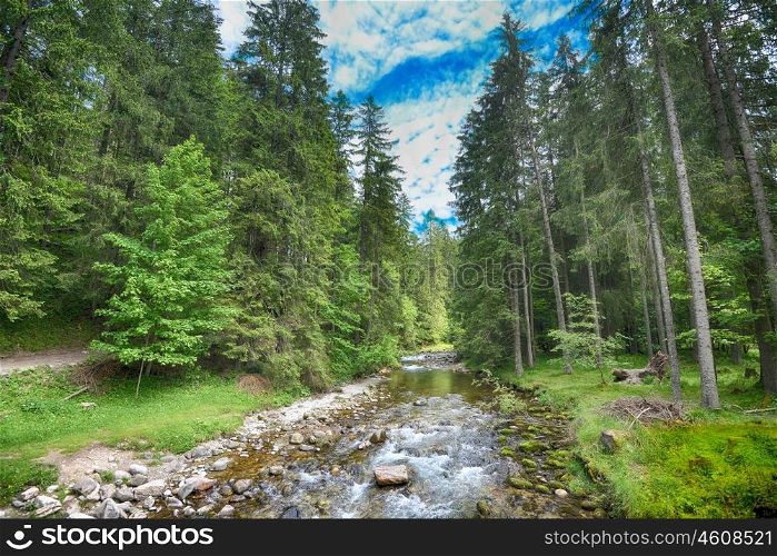 water stream on slopes of mountains