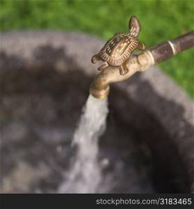 Water tap with decorative turtle