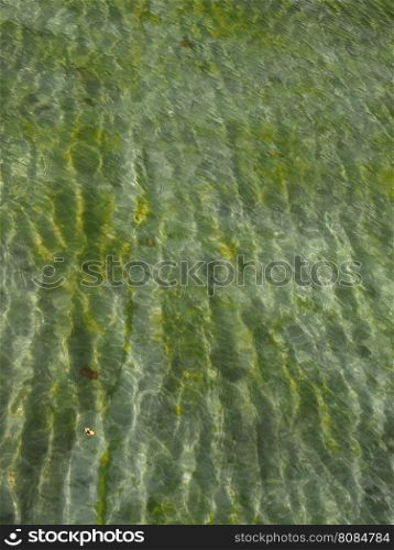 Water texture background. Green water texture useful as a background