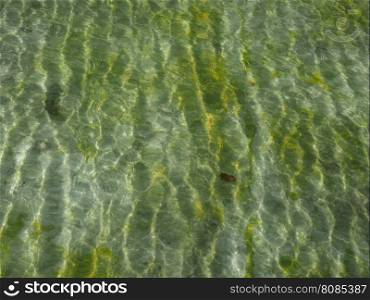 Water texture background. Green water texture useful as a background