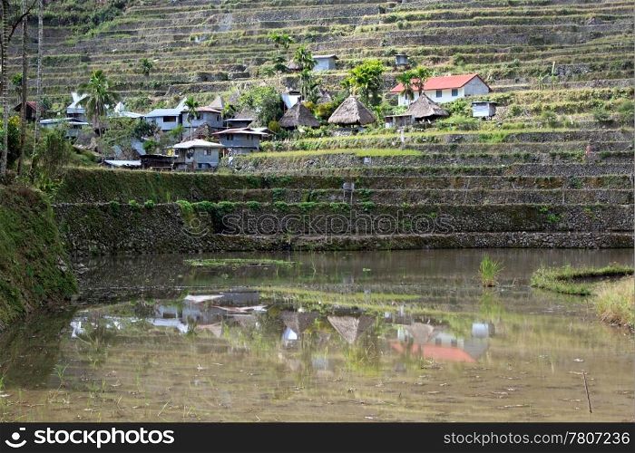 Water, traditional houses and rice fields in Batad, near Banaue