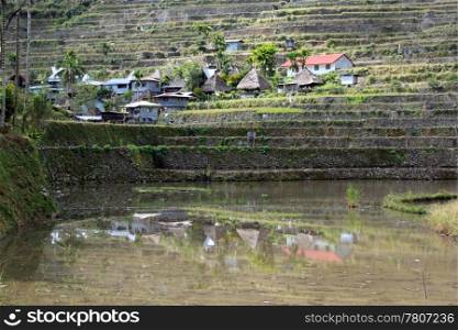 Water, traditional houses and rice fields in Batad, near Banaue