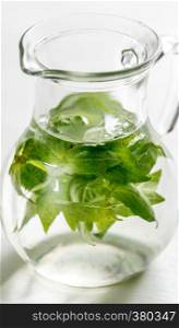 Water with fresh basil in the glass jug
