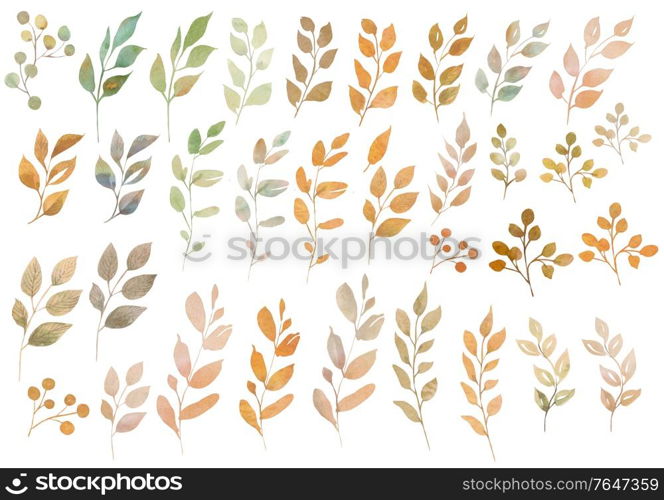 Watercolor autumn elements different leaves. Illustration. Watercolor autumn elements different leaves.