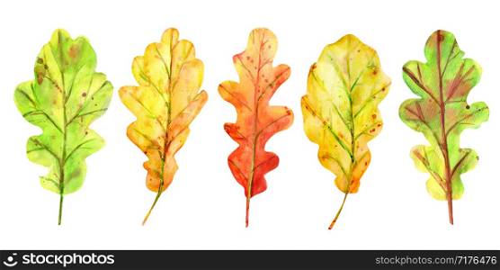 Watercolor autumn set with oak leaves. 5 fallen leaves of yellow, orange and green with drops and splashes. Isolated objects on white background. Elements for design.. Watercolor autumn set with oak leaves.