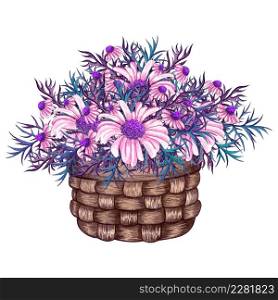 Watercolor basket with wildflowers bouquet inside, hand drawn composition isolated on a white background. Watercolor illustration of daisy flowers bouquet in a basket. Summer wildflowers decoration