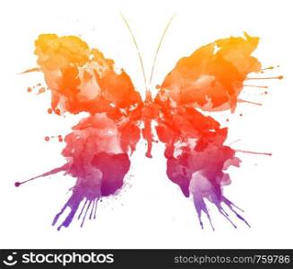 Watercolor Butterfly Isolated on White Background