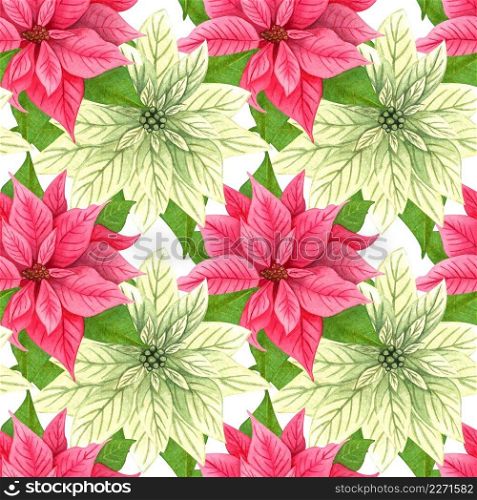 Watercolor Christmas poinsettia seamless pattern. Red and white big winter flowers. repeating background