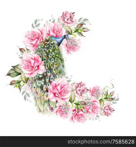 Watercolor colorful wreath with peony, roses, succulent flowers and peacock bird. Illustration. . Watercolor colorful wreath with peony, roses, succulent flowers and peacock bird.