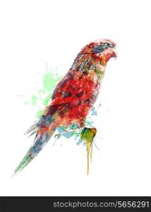 Watercolor Digital Painting Of Colorful Parrot