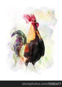 Watercolor Digital Painting Of Colorful Rooster
