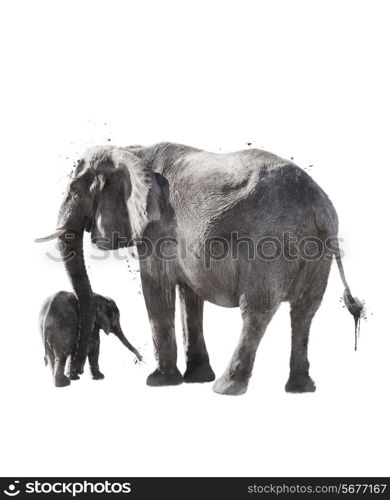 Watercolor Digital Painting Of Elephants