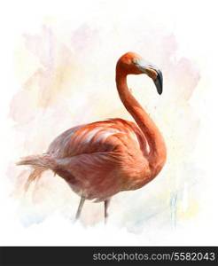 Watercolor Digital Painting Of Flamingo