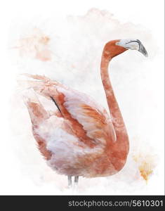 Watercolor Digital Painting Of Flamingo Bird