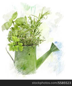 Watercolor Digital Painting Of fresh Herbs In Watering Can