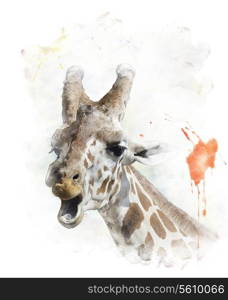 Watercolor Digital Painting Of Giraffe Portrait