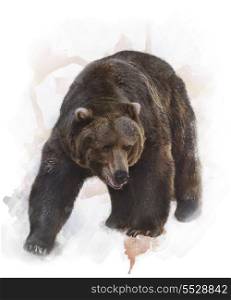 Watercolor Digital Painting Of Grizzly Bear