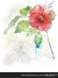 Watercolor Digital Painting Of Hibiscus Flower