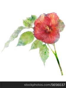 Watercolor Digital Painting Of Hibiscus Flower