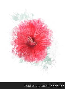 Watercolor Digital Painting Of Hibiscus Flower