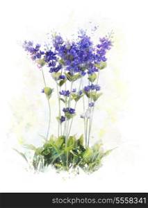 Watercolor Digital Painting Of Lavender Flowers