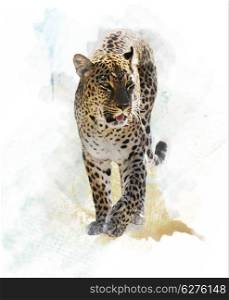 Watercolor Digital Painting Of Leopard