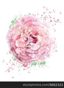 Watercolor Digital Painting Of Pink Rose