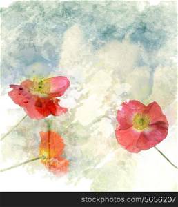 Watercolor Digital Painting Of Poppy Flowers
