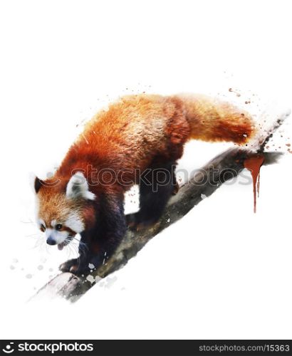 Watercolor Digital Painting Of Red Panda