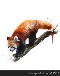 Watercolor Digital Painting Of Red Panda