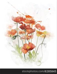 Watercolor Digital Painting Of Red Poppy Flowers