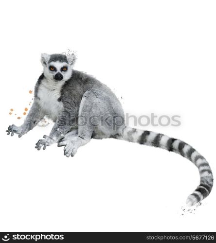 Watercolor Digital Painting Of Ring-tailed Lemur