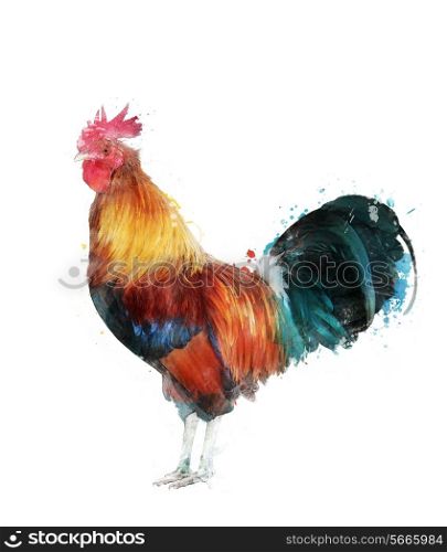 Watercolor Digital Painting Of Rooster