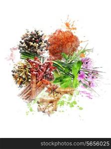 Watercolor Digital Painting Of Spices And Herbs