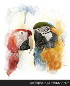 Watercolor Digital Painting Of Two Colorful Parrots