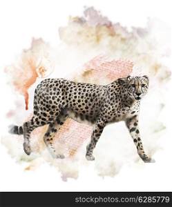 Watercolor Digital Painting Of Walking Cheetah