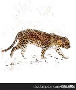 Watercolor Digital Painting Of Walking Leopard