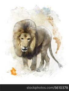 Watercolor Digital Painting Of Walking Lion