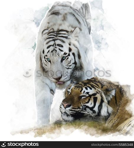 Watercolor Digital Painting Of White And Brown Tigers