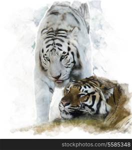 Watercolor Digital Painting Of White And Brown Tigers